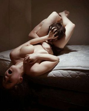 Djezia erotic massage in Ardmore